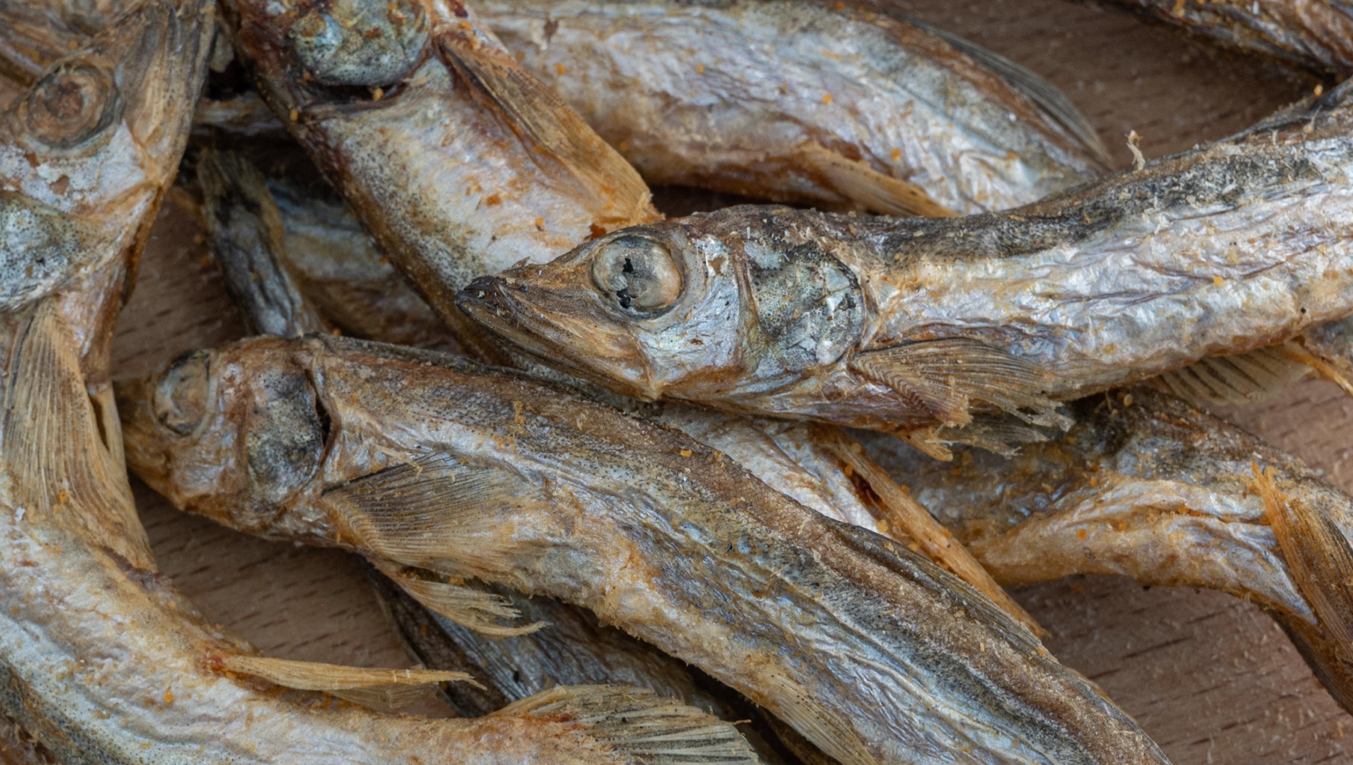 Seafood