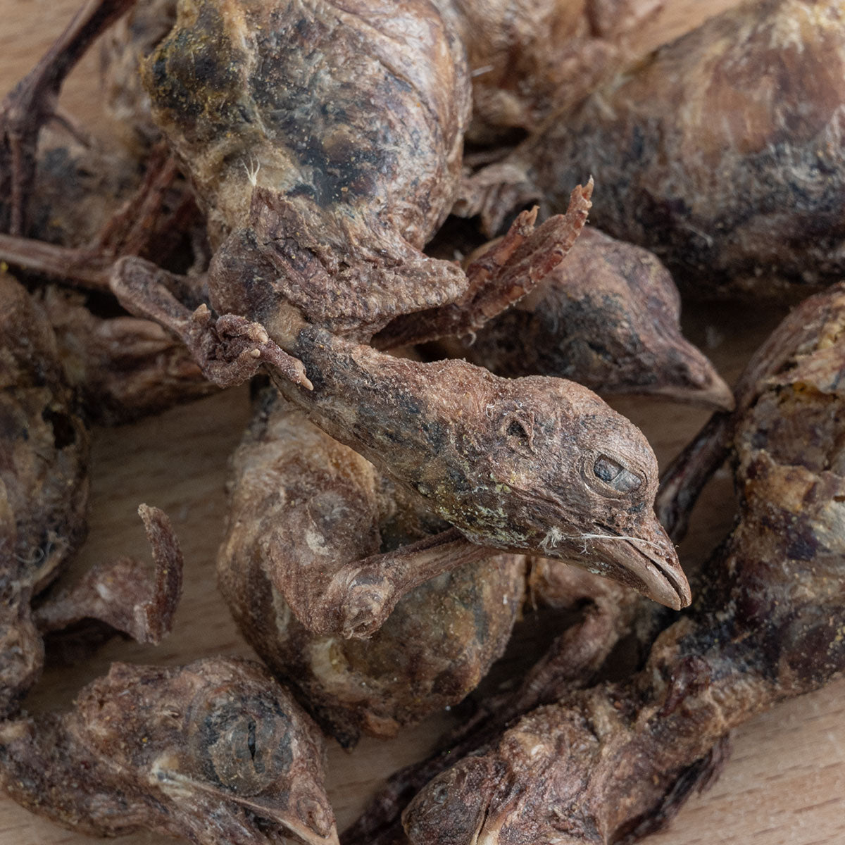 Freeze Dried Whole Chick