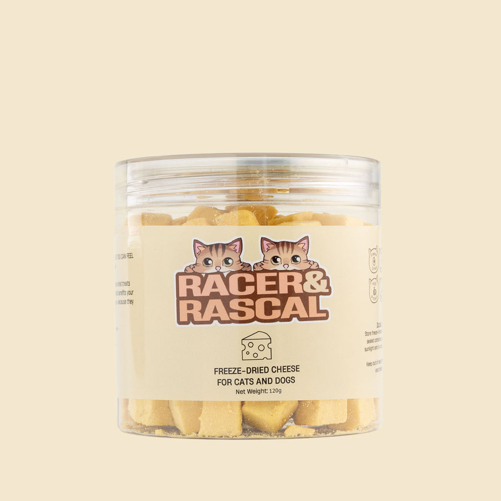 Freeze Dried Cheese